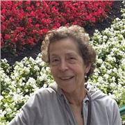 Profesora de Matemática particular